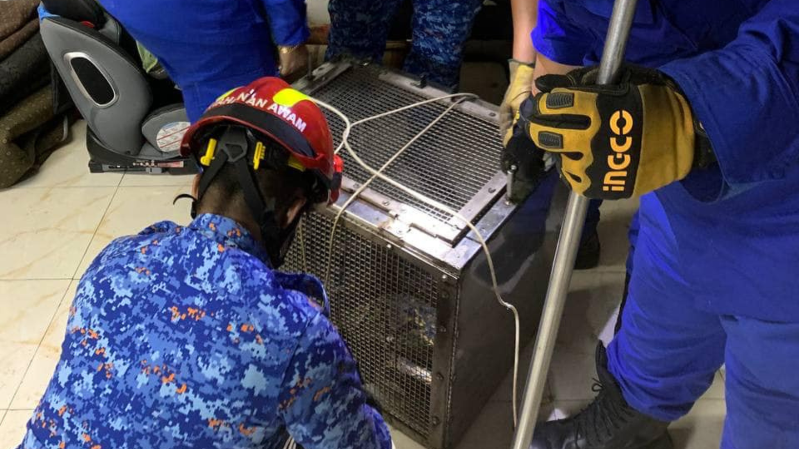 Civil Defence Catches 5m Python in Taiping House